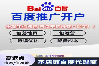百度搜索推广实战技巧：成功案例启示录